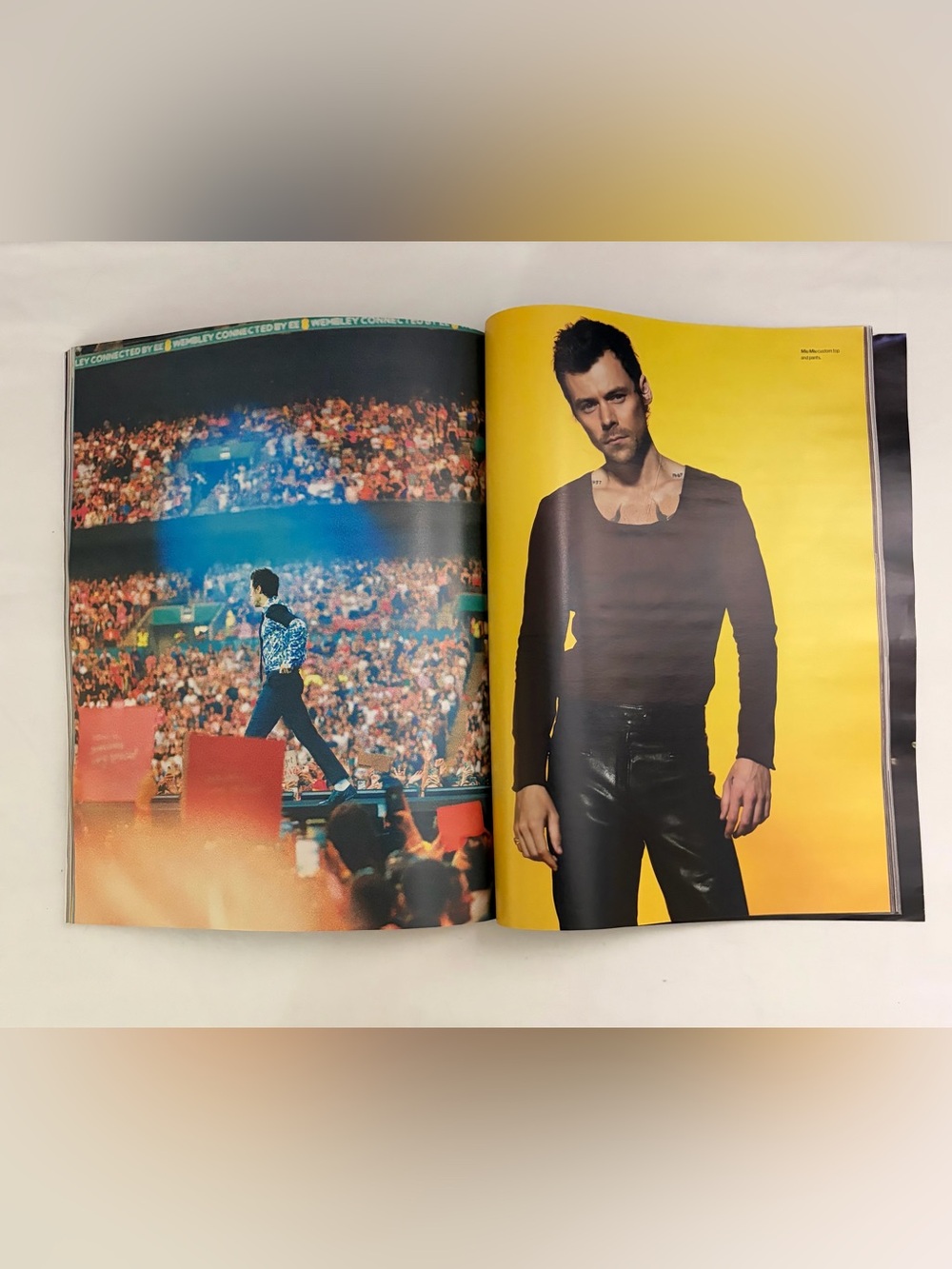 W Harry Styles Fashion “30 Page Portfolio Pop’s Electrifying Star” Volume 4 Mag - Picture 6 of 15